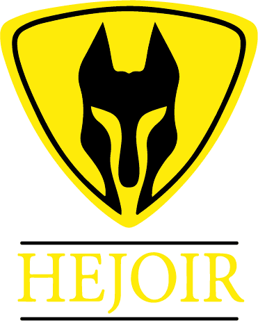 Seguridad Privada HEJOIR